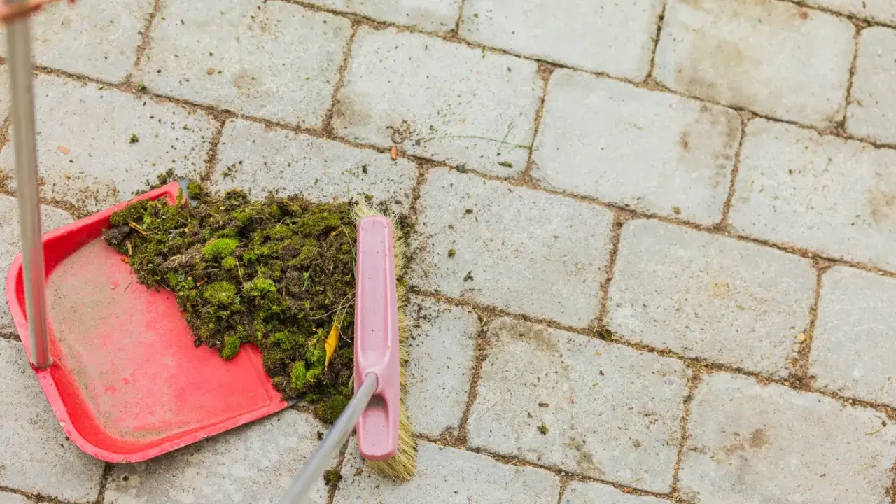 Szczotka zgarnia **mech na kostce** do czerwonej szufelki.